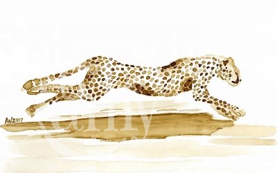 Cheetah CoffeeART Donation Artwork